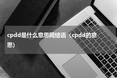 cpdd是什么意思网络语（cpdd的意思）
