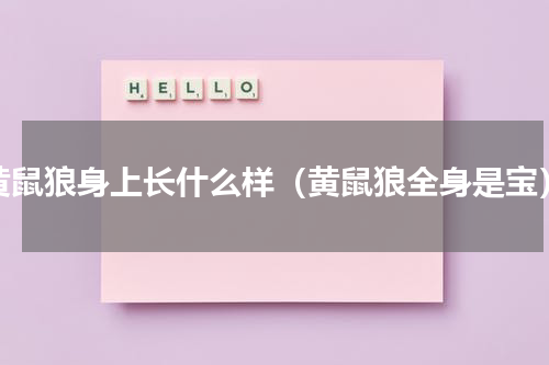 黄鼠狼身上长什么样（黄鼠狼全身是宝）