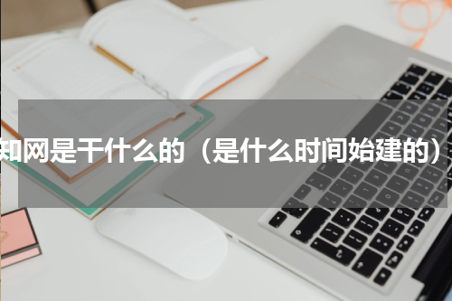知网是干什么的（是什么时间始建的）