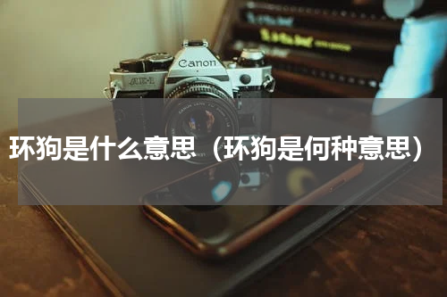 环狗是什么意思（环狗是何种意思）