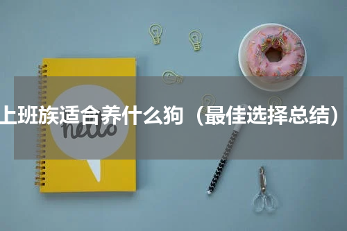 上班族适合养什么狗（最佳选择总结）