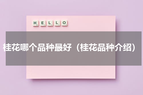 桂花哪个品种最好（桂花品种介绍）