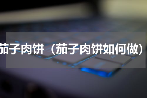 茄子肉饼（茄子肉饼如何做）