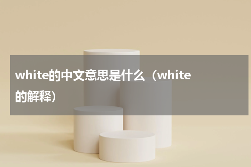 white的中文意思是什么（white的解释）