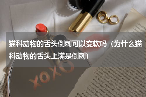 猫科动物的舌头倒刺可以变软吗（为什么猫科动物的舌头上满是倒刺）