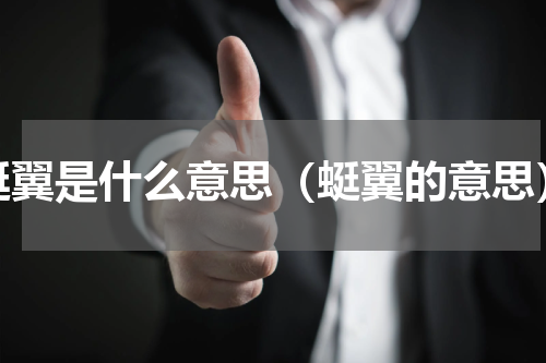 蜓翼是什么意思（蜓翼的意思）