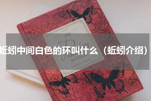 蚯蚓中间白色的环叫什么（蚯蚓介绍）