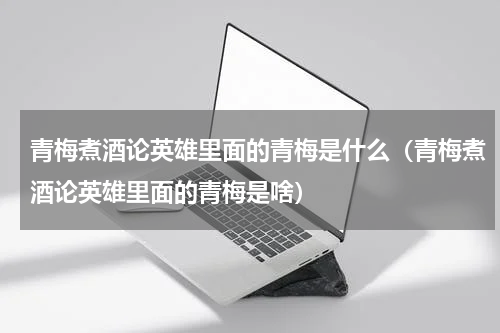 青梅煮酒论英雄里面的青梅是什么（青梅煮酒论英雄里面的青梅是啥）