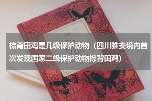 棕背田鸡是几级保护动物（四川雅安境内首次发现国家二级保护动物棕背田鸡）