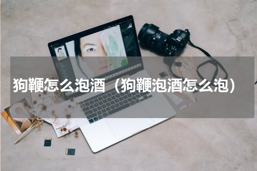 狗鞭怎么泡酒（狗鞭泡酒怎么泡）