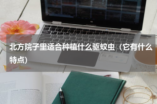 北方院子里适合种植什么驱蚊虫（它有什么特点）