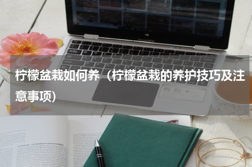 柠檬盆栽如何养（柠檬盆栽的养护技巧及注意事项）