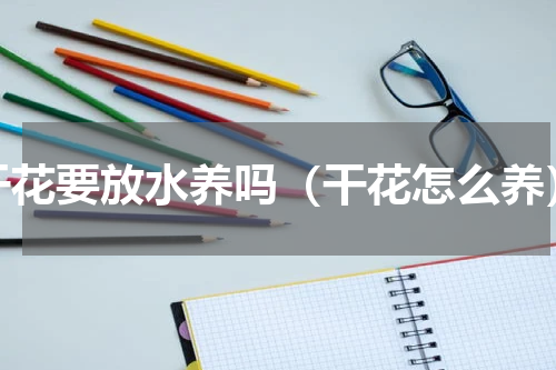 干花要放水养吗（干花怎么养）