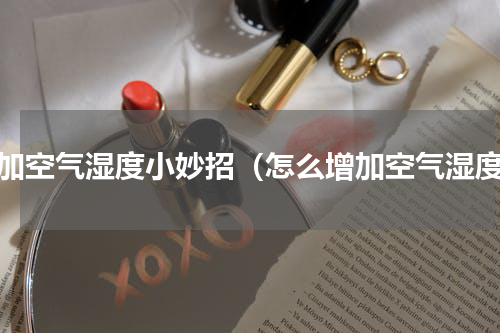 增加空气湿度小妙招（怎么增加空气湿度）