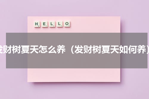 发财树夏天怎么养（发财树夏天如何养）