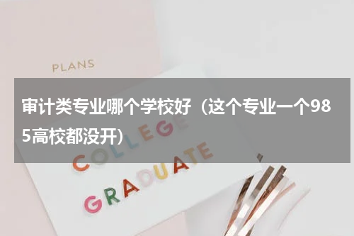 审计类专业哪个学校好（这个专业一个985高校都没开）