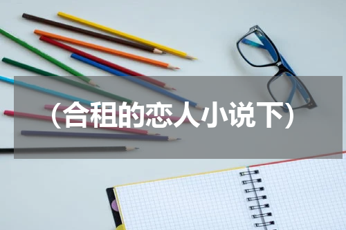 （合租的恋人小说下）