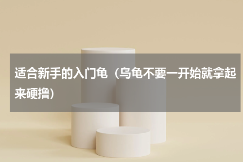 适合新手的入门龟（乌龟不要一开始就拿起来硬撸）