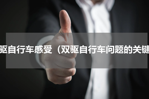 双驱自行车感受（双驱自行车问题的关键）