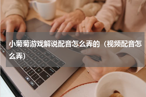 小菊菊游戏解说配音怎么弄的（视频配音怎么弄）