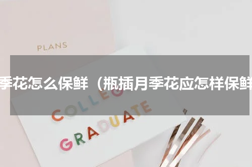 月季花怎么保鲜（瓶插月季花应怎样保鲜）