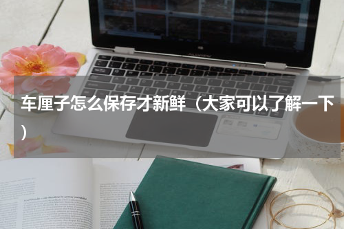 车厘子怎么保存才新鲜（大家可以了解一下）