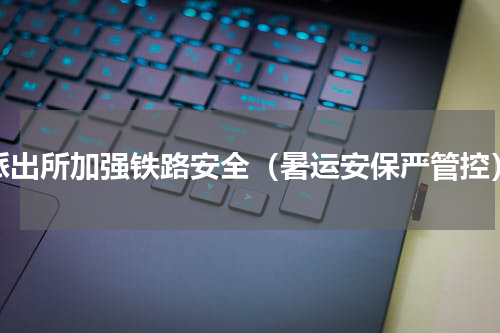 派出所加强铁路安全（暑运安保严管控）