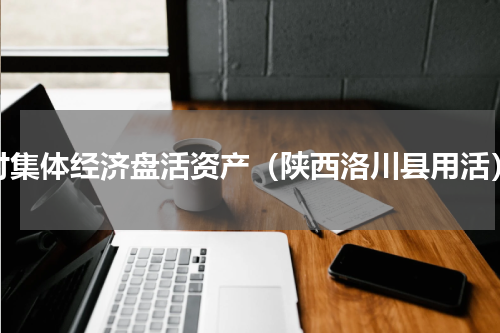 村集体经济盘活资产（陕西洛川县用活）