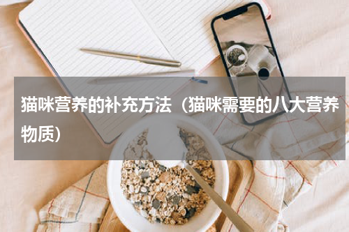 猫咪营养的补充方法（猫咪需要的八大营养物质）