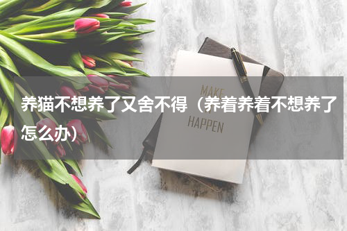 养猫不想养了又舍不得（养着养着不想养了怎么办）