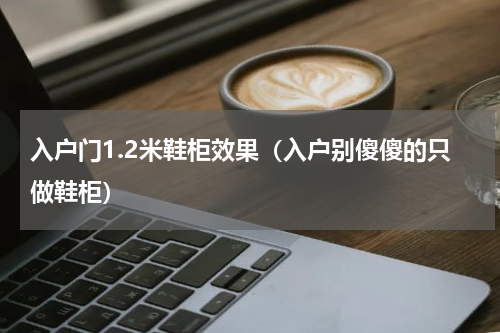 入户门1.2米鞋柜效果（入户别傻傻的只做鞋柜）