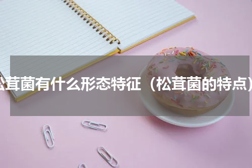 松茸菌有什么形态特征（松茸菌的特点）