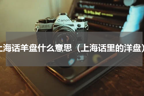上海话羊盘什么意思（上海话里的洋盘）