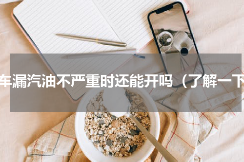汽车漏汽油不严重时还能开吗（了解一下）