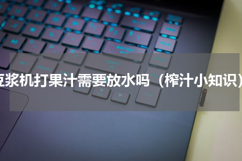 豆浆机打果汁需要放水吗（榨汁小知识）