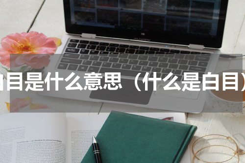 白目是什么意思（什么是白目）
