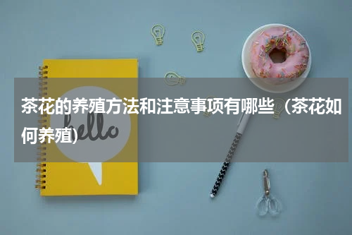 茶花的养殖方法和注意事项有哪些（茶花如何养殖）