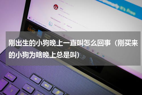 刚出生的小狗晚上一直叫怎么回事（刚买来的小狗为啥晚上总是叫）