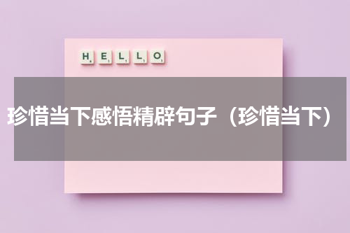 珍惜当下感悟精辟句子（珍惜当下）