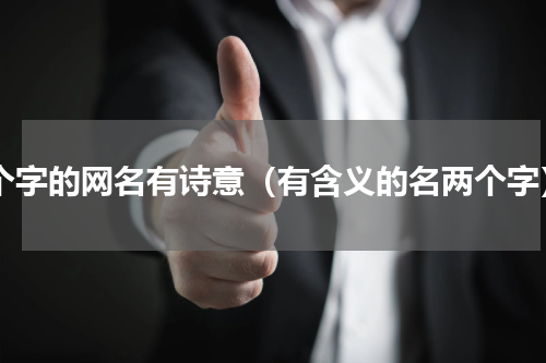 2个字的网名有诗意（有含义的名两个字）