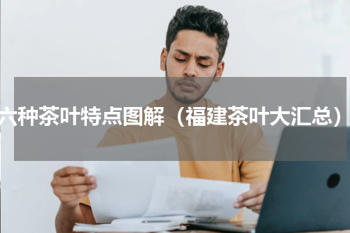 六种茶叶特点图解（福建茶叶大汇总）
