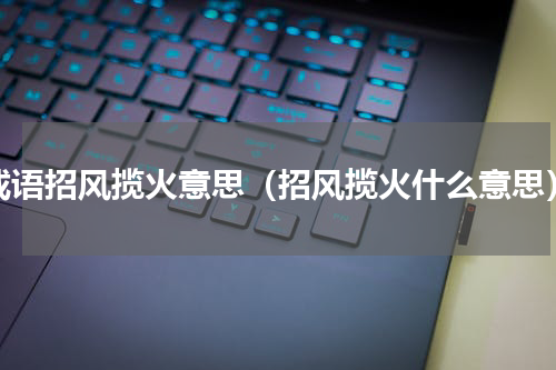 成语招风揽火意思（招风揽火什么意思）