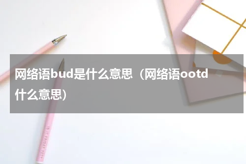 网络语bud是什么意思（网络语ootd什么意思）