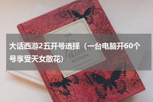 大话西游2五开号选择（一台电脑开60个号享受天女散花）