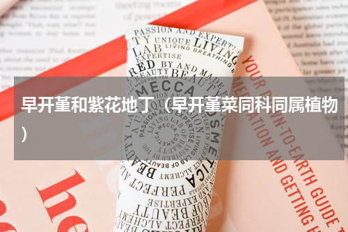 早开堇和紫花地丁（早开堇菜同科同属植物）