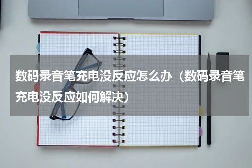 数码录音笔充电没反应怎么办（数码录音笔充电没反应如何解决）