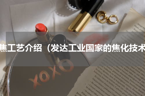 炼焦工艺介绍（发达工业国家的焦化技术）