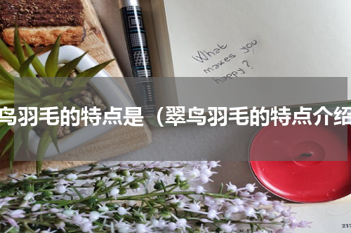 翠鸟羽毛的特点是（翠鸟羽毛的特点介绍）