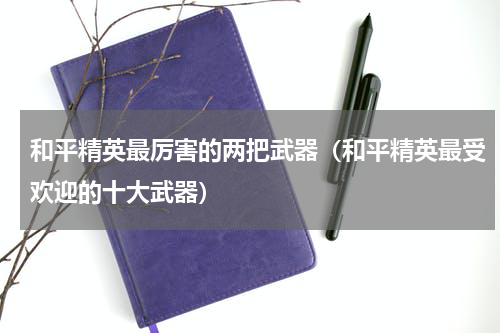 和平精英最厉害的两把武器（和平精英最受欢迎的十大武器）