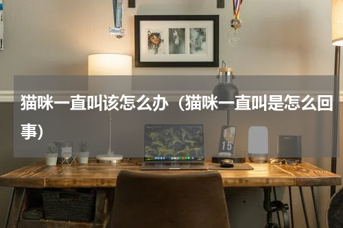 猫咪一直叫该怎么办（猫咪一直叫是怎么回事）